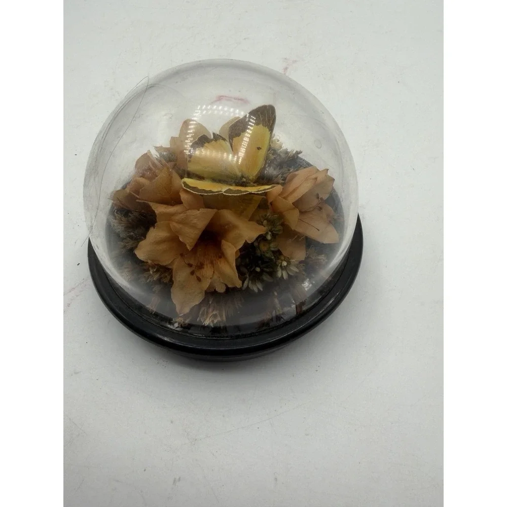 Vintage Naturals Inc Butterfly Dome Paperweight Dried Flowers Display